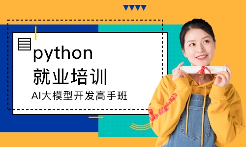 AI大模型开发高手班