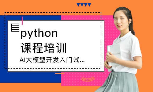AI大模型开发入门试学班