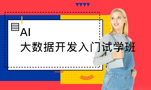 AI大数据开发入门试学班
