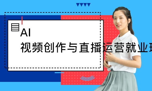AI视频创作与直播运营就业班