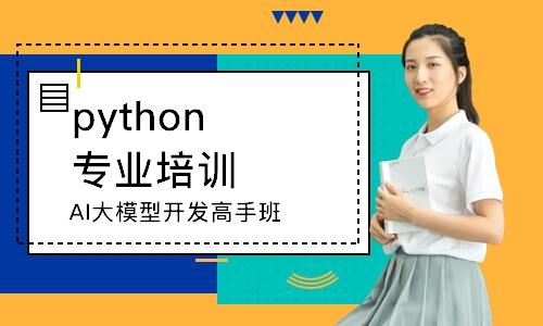 AI大模型开发高手班
