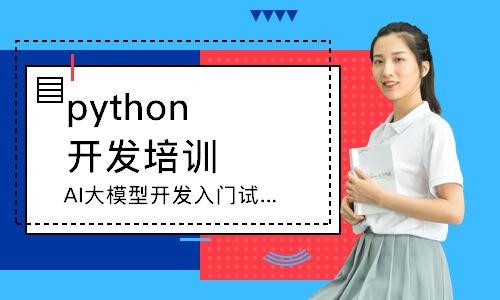 AI大模型开发入门试学班