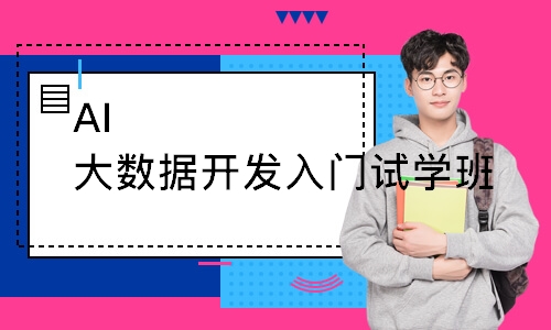 AI大数据开发入门试学班