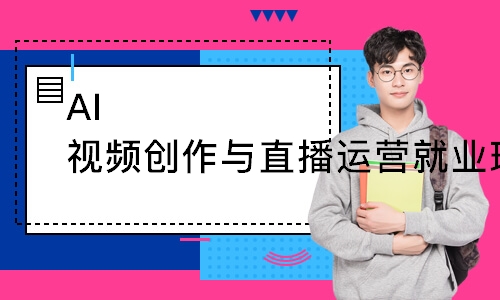 AI视频创作与直播运营就业班
