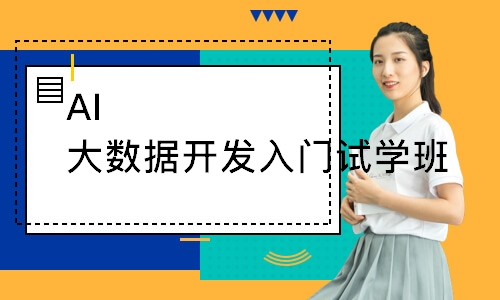 AI大数据开发入门试学班