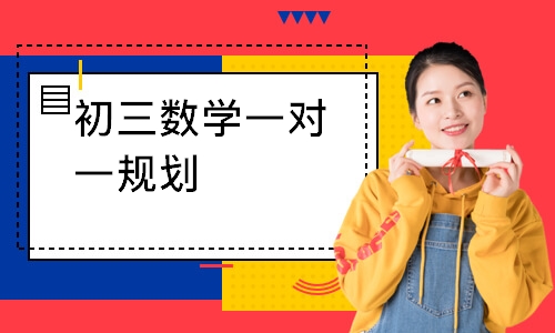 初三数学一对一规划
