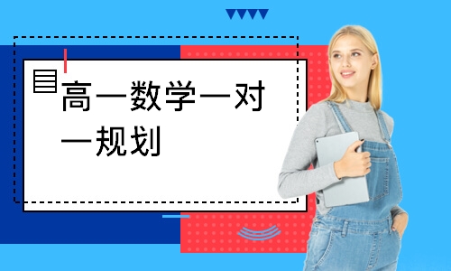 高一数学一对一规划