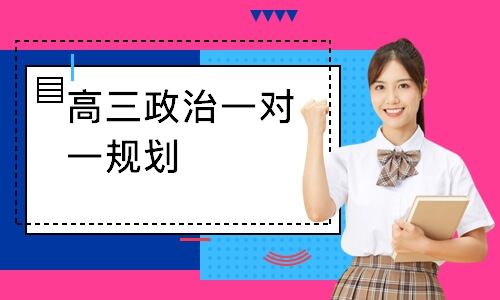 高三政治一对一规划