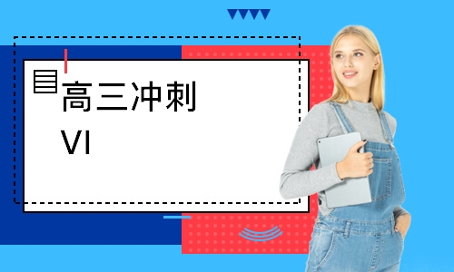 高三冲刺VIP一对一课程