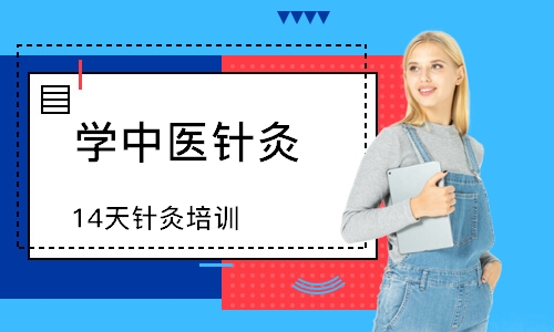 14天针灸培训班