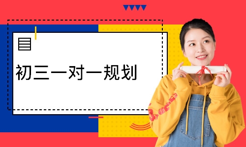  初三一对一规划
