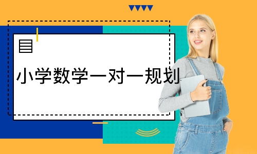  小学数学一对一规划