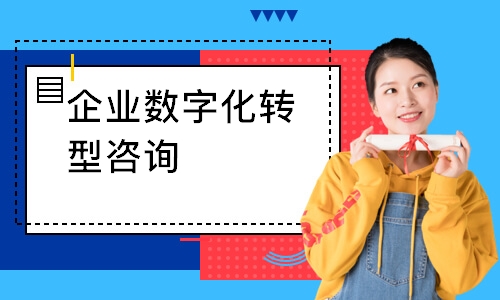 企业数字化转型咨询