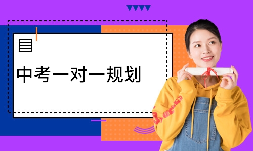  中考一对一规划