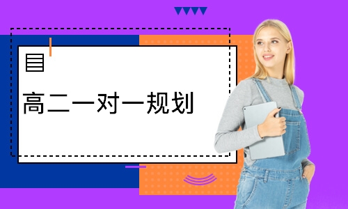 高二一对一规划