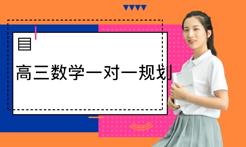  高三数学一对一规划