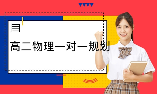  高二物理一对一规划