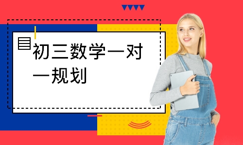 初三数学一对一规划