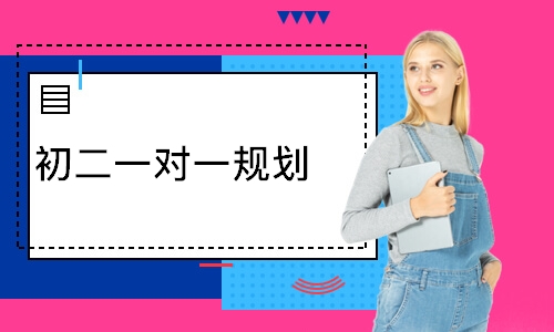 初二一对一规划