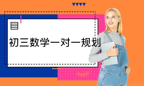  初三数学一对一规划