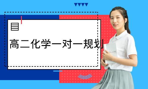  高二化学一对一规划