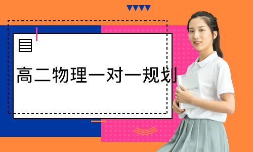  高二物理一对一规划