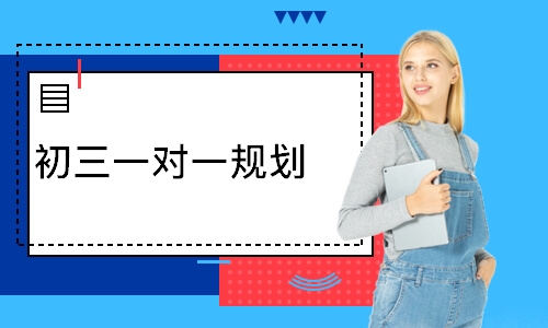 初三一对一规划