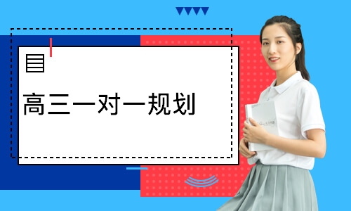 高三一对一规划