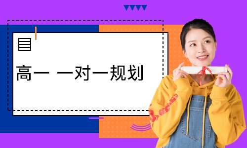  高一 一对一规划