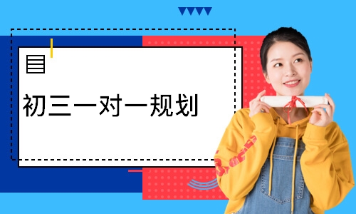 初三一对一规划
