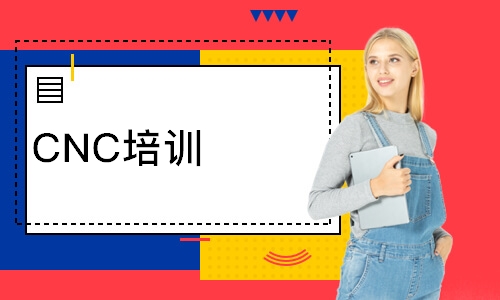 济南****学校（未认证机构）