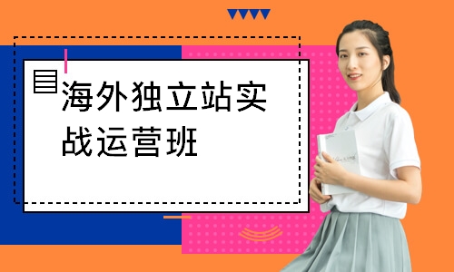 海外独立站实战运营班