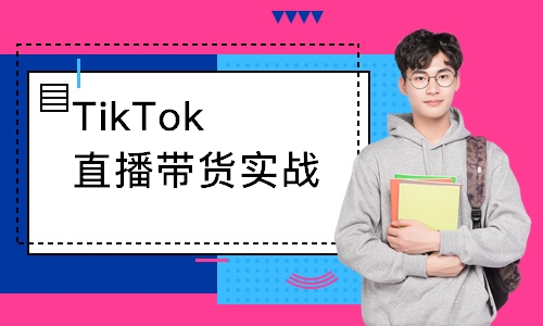 TikTok直播带货实战班