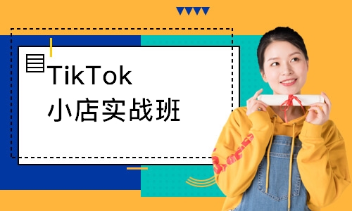 TikTok小店实战班
