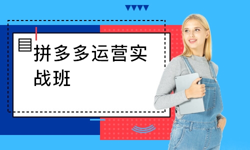 拼多多运营实战班