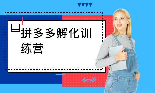 拼多多孵化训练营