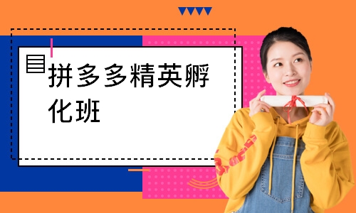拼多多精英孵化班