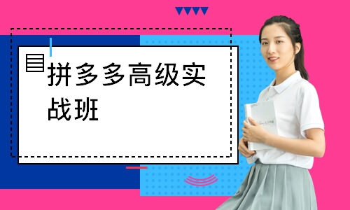 拼多多高级实战班
