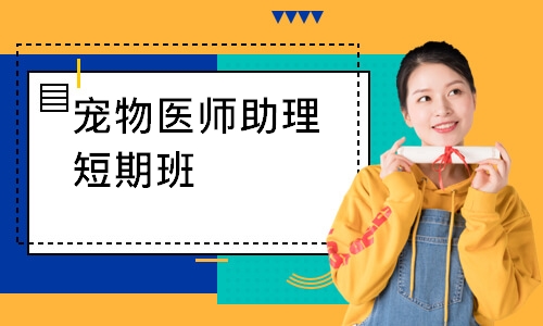 宠物医师助理短期班