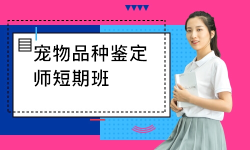 宠物品种鉴定师短期班