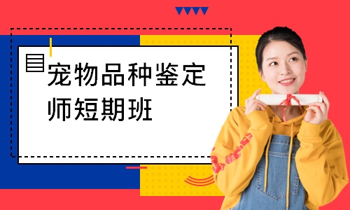 宠物品种鉴定师短期班