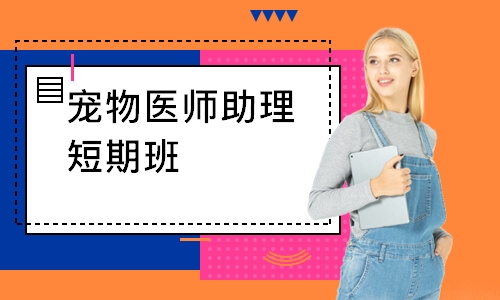 宠物医师助理短期班