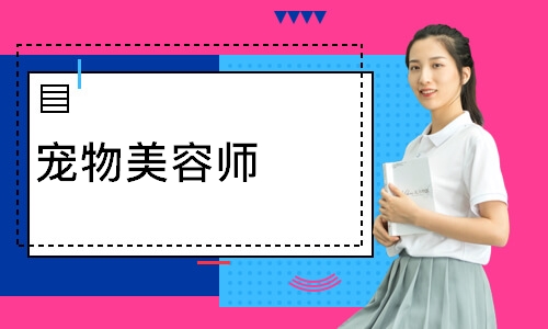 宠物美容师