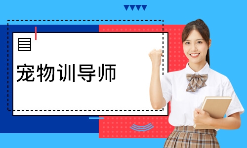宠物训导师