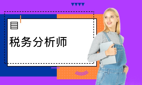 税务分析师
