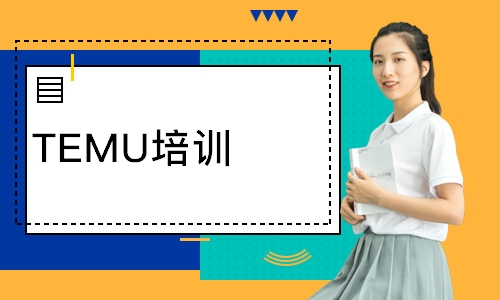 TEMU培训