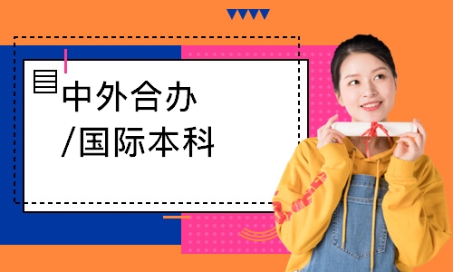 中外合办/国际本科