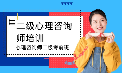心理咨询师二级考前班