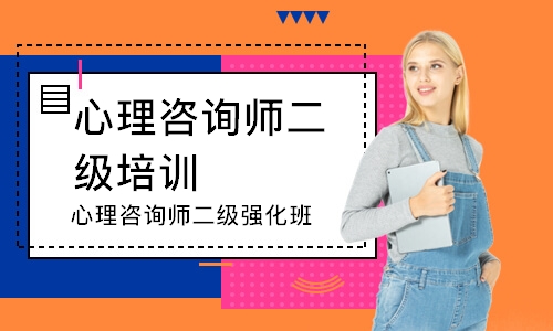 心理咨询师二级强化班