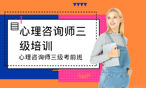 心理咨询师三级考前班